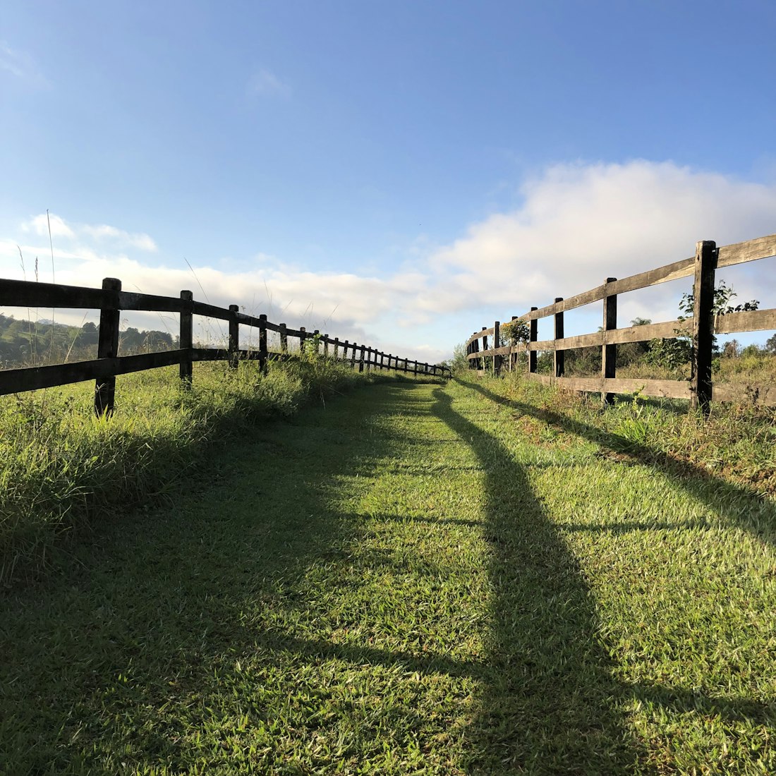 Timber fence line running across green pasture under a clear sky