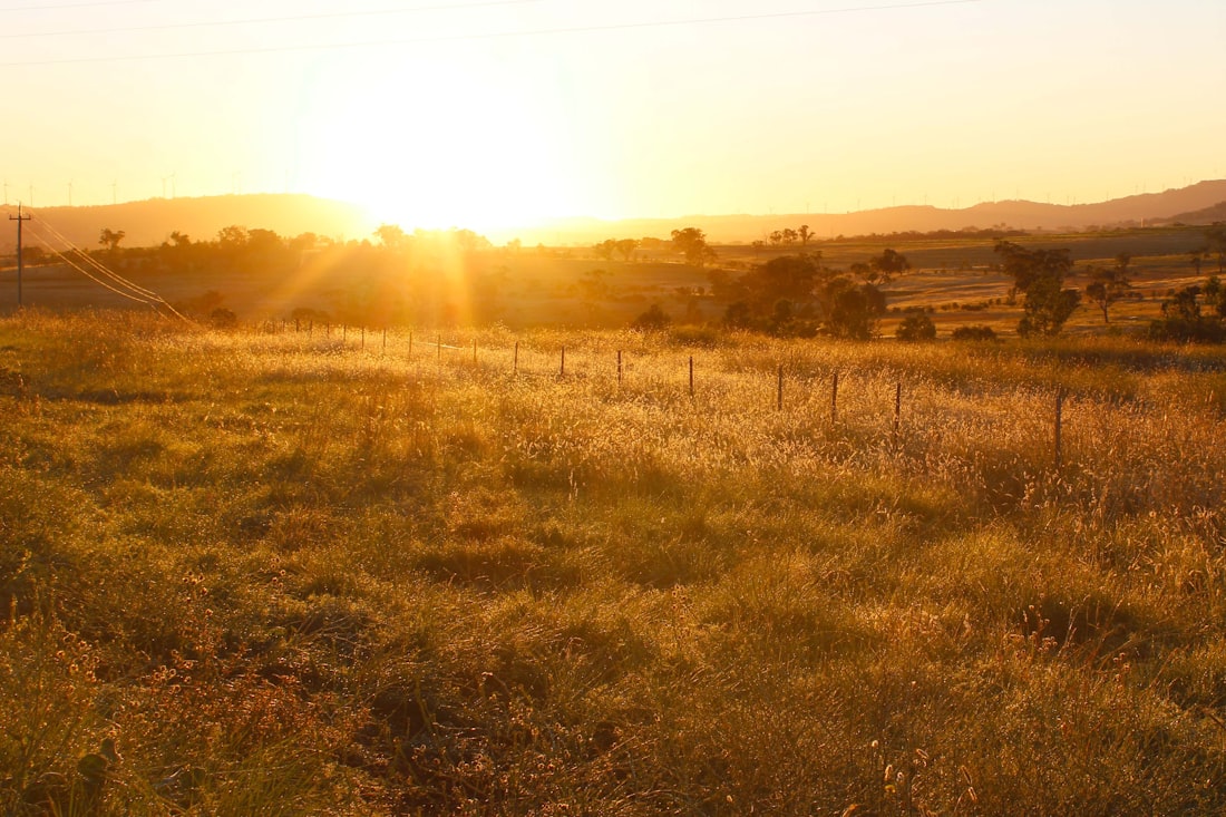Sun setting over a grassy field at the end of the day